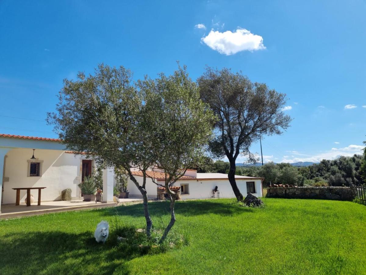Lu Antu Alloggi Agrituristici Arzachena Εξωτερικό φωτογραφία