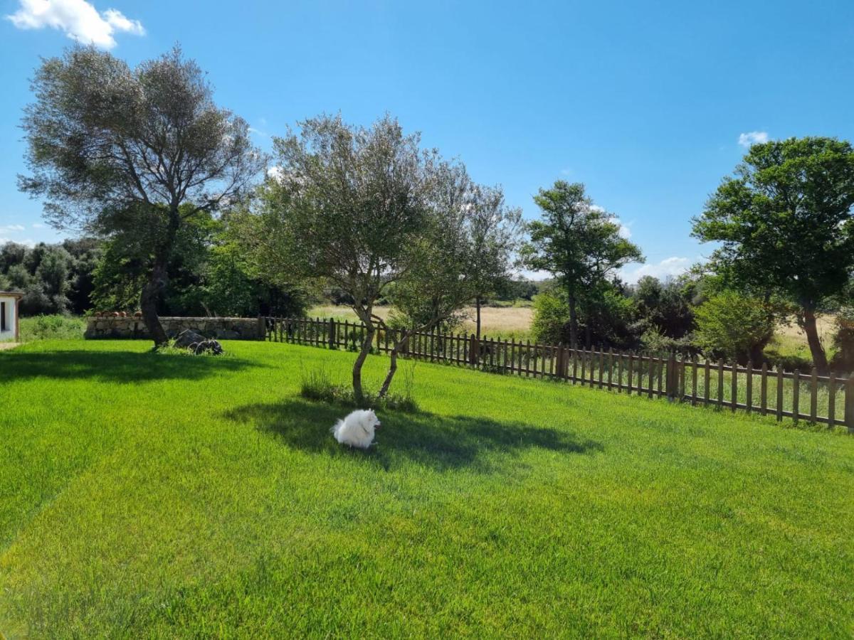 Lu Antu Alloggi Agrituristici Arzachena Εξωτερικό φωτογραφία