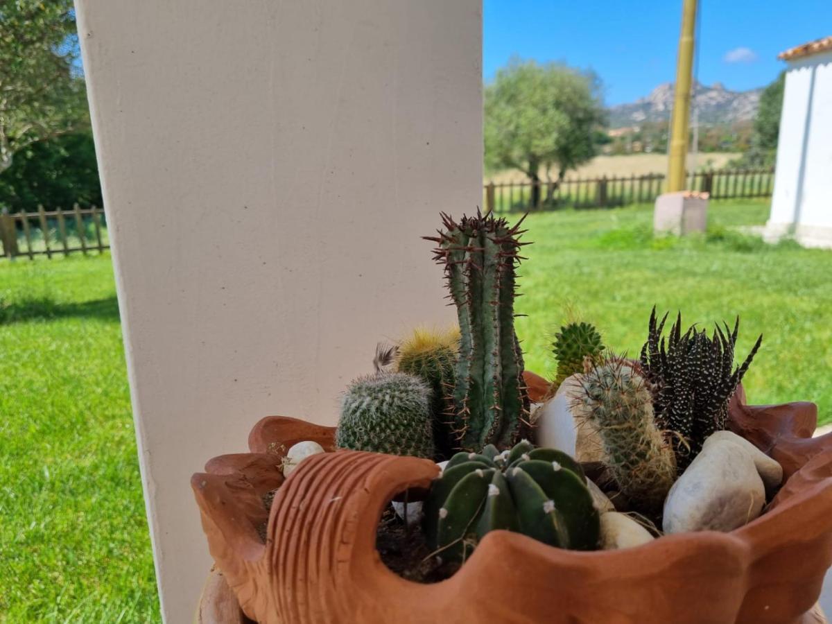 Lu Antu Alloggi Agrituristici Arzachena Εξωτερικό φωτογραφία