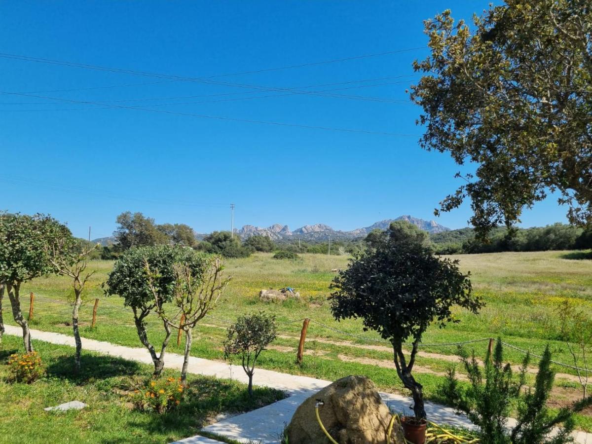 Lu Antu Alloggi Agrituristici Arzachena Εξωτερικό φωτογραφία